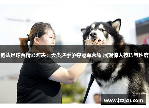 狗头足球赛精彩对决：犬类选手争夺冠军荣耀 展现惊人技巧与速度