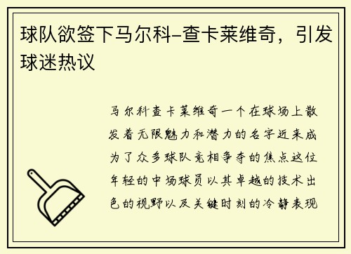 球队欲签下马尔科-查卡莱维奇，引发球迷热议